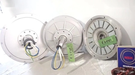 3kw 100rpm Disc Coreless Axial Flux Pmg avec BV